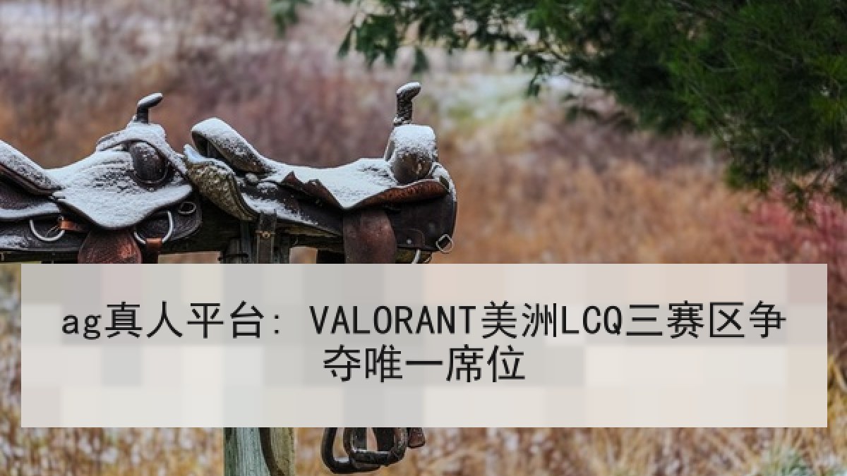 ag真人平台: VALORANT美洲LCQ三赛区争夺唯一席位