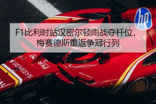 bi-li-shi-zhan-han-mi-er-dun-yu-zhan-duo-gan-wei-mei-sai-de-si-chong-fan-zheng-guan-hang-lie-3-223.jpg